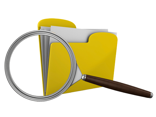 Case Files Professional
